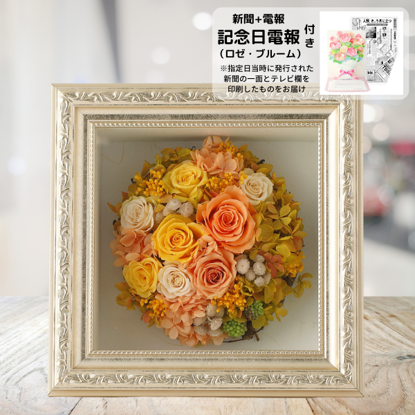 ǰʥ֥롼ˤȥץꥶ֥ɥե ޥ饹M()