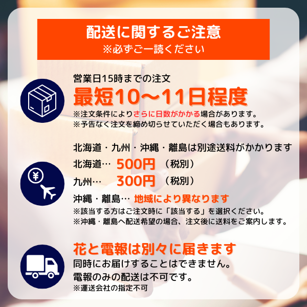 ǰʥǥ󥰡ˤȥץꥶ֥ɥե ޥ饹S(ԥ) 15