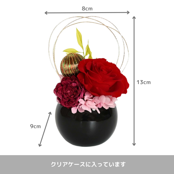 (ݥ)ȥץꥶ֥ɥե ޤ()ڲ٤ޤ 2