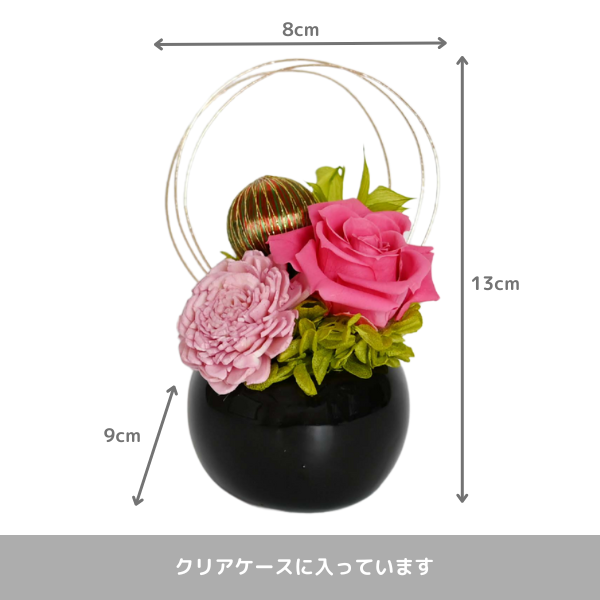 ()ȥץꥶ֥ɥե ޤ()ڲ٤ޤ 2