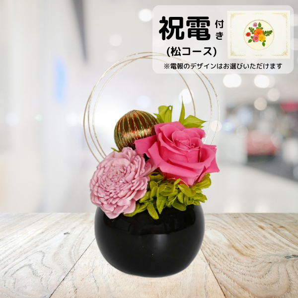 ()ȥץꥶ֥ɥե ޤ()ڲ٤ޤ