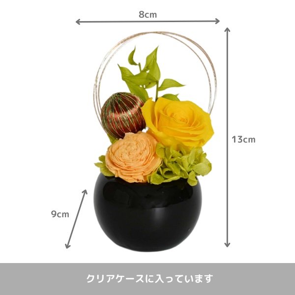 ()ȥץꥶ֥ɥե ޤ()ڲ٤ޤ 2