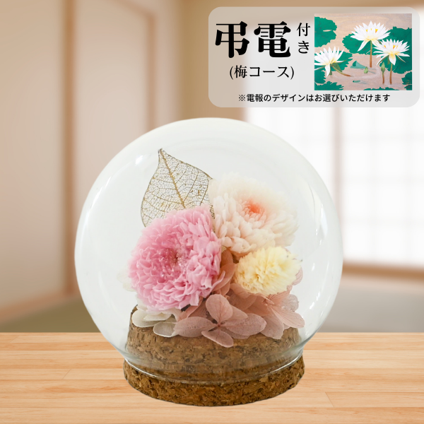 Ĥ(ߥ)ȥץꥶ֥ɥե (ԥ)ڲ٤ޤ