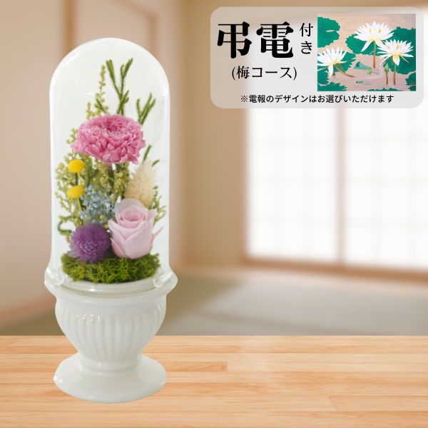 Ĥ(ߥ)ȥץꥶ֥ɥե (ۥ磻)ڲ٤ޤ