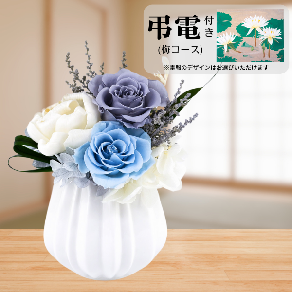 Ĥ(ߥ)ȥץꥶ֥ɥե ڲ٤ޤ