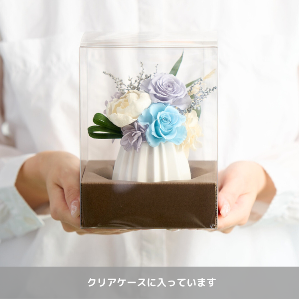 Ĥ(ߥ)ȥץꥶ֥ɥե ڲ٤ޤ 3