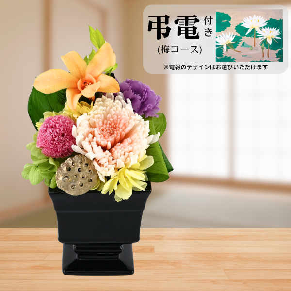 Ĥ(ߥ)ȥץꥶ֥ɥե ̲--ڲ٤ޤ