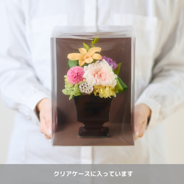 Ĥ(ߥ)ȥץꥶ֥ɥե ̲--ڲ٤ޤ 3