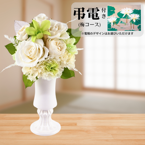 Ĥ(ߥ)ȥץꥶ֥ɥե շ-ϤŤ-ڲ٤ޤ