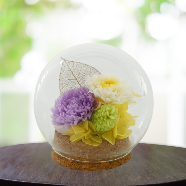 Ĥ(ݥ)ȥץꥶ֥ɥե (ѡץ)ڲ٤ޤ 2