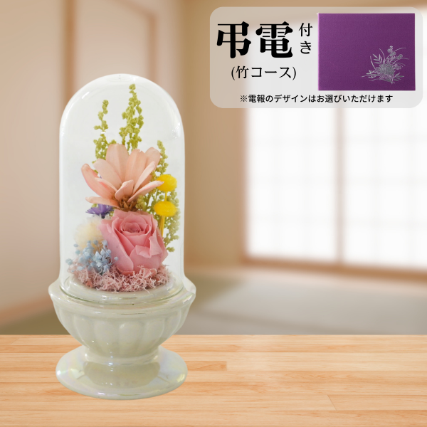 Ĥ(ݥ)ȥץꥶ֥ɥե ¤(ۥ磻)ڲ٤ޤ