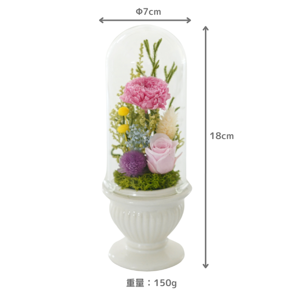 Ĥ(ݥ)ȥץꥶ֥ɥե (ۥ磻)ڲ٤ޤ 3