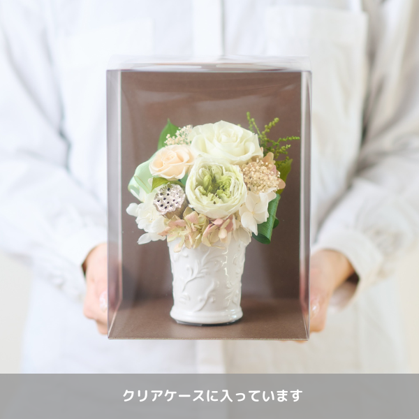 Ĥ(ݥ)ȥץꥶ֥ɥե ò--ڲ٤ޤ 3