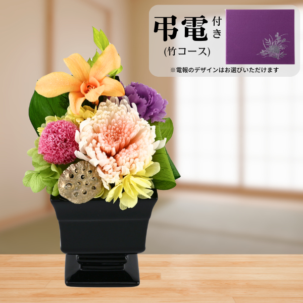 Ĥ(ݥ)ȥץꥶ֥ɥե ̲--ڲ٤ޤ