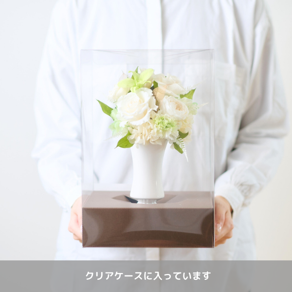 Ĥ(ݥ)ȥץꥶ֥ɥե շ-ϤŤ-ڲ٤ޤ 3