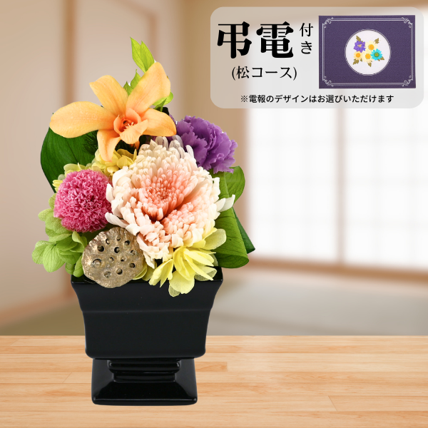 Ĥ()ȥץꥶ֥ɥե ̲--ڲ٤ޤ