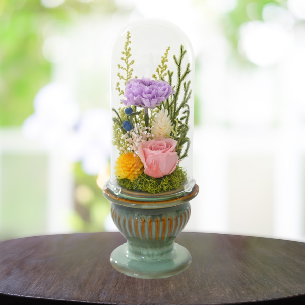 Ĥ(ͧ»桦ؿ)ȥץꥶ֥ɥե (꡼)ڲ٤ޤ 2