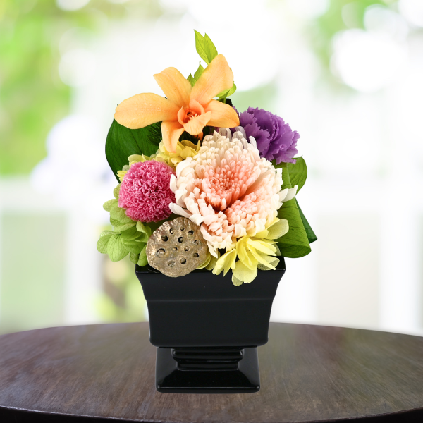 Ĥ(ͧ»桦ؿ)ȥץꥶ֥ɥե ̲--ڲ٤ޤ 2