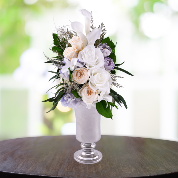 Ĥ(ͧ»桦ؿ)ȥץꥶ֥ɥե --ڲ٤ޤ 2