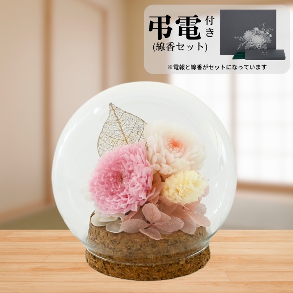 Ĥ(᥻å)ȥץꥶ֥ɥե (ԥ)