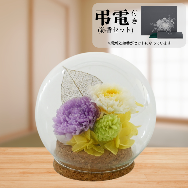 Ĥ(᥻å)ȥץꥶ֥ɥե (ѡץ)