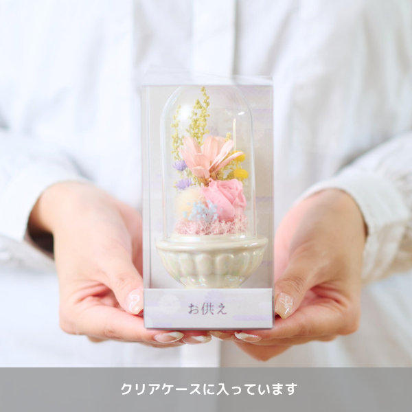 Ĥ(᥻å)ȥץꥶ֥ɥե ¤(꡼) 3