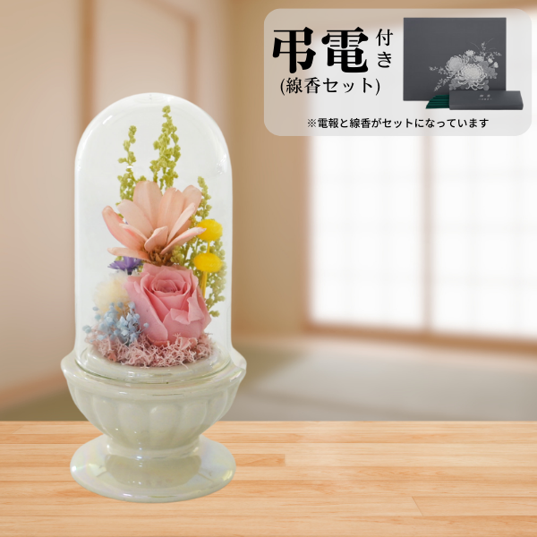 Ĥ(᥻å)ȥץꥶ֥ɥե ¤(ۥ磻)