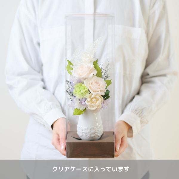 Ĥ(᥻å)ȥץꥶ֥ɥե ۲-- 3