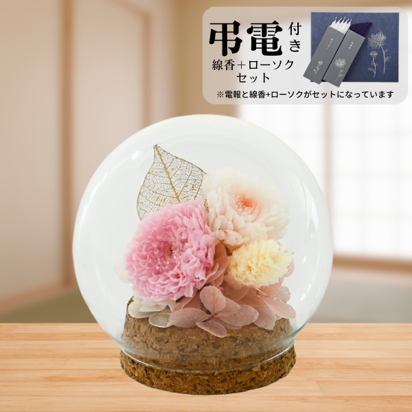 Ĥ(ᡦå)ȥץꥶ֥ɥե (ԥ)