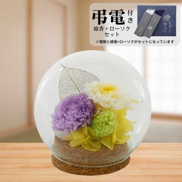 Ĥ(ᡦå)ȥץꥶ֥ɥե (ѡץ)