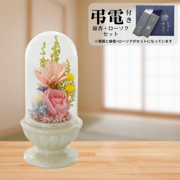 Ĥ(ᡦå)ȥץꥶ֥ɥե ¤(ۥ磻)