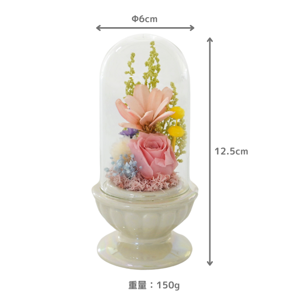 Ĥ(ᡦå)ȥץꥶ֥ɥե ¤(ۥ磻) 4