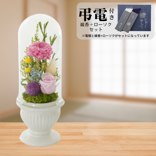 Ĥ(ᡦå)ȥץꥶ֥ɥե (ۥ磻)