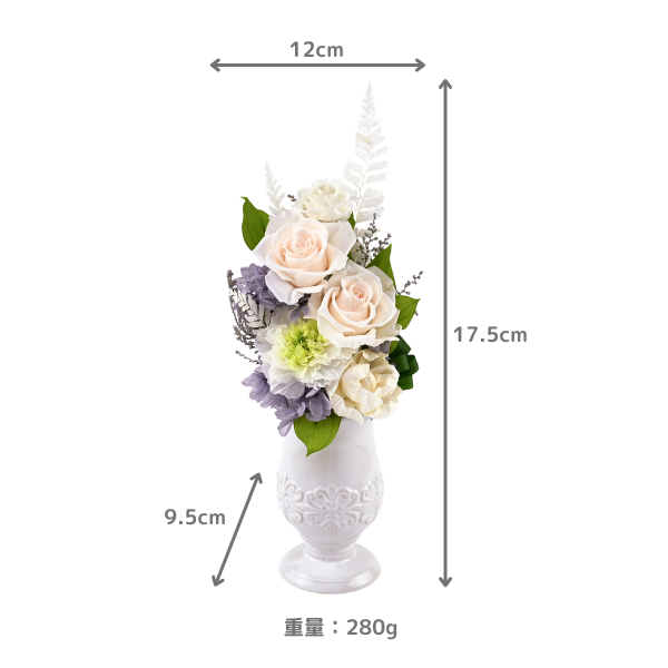 Ĥ(ᡦå)ȥץꥶ֥ɥե ۲-- 4