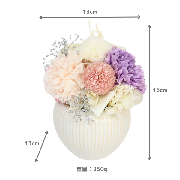 Ĥ(ᡦå)ȥץꥶ֥ɥե ۤΤ 3