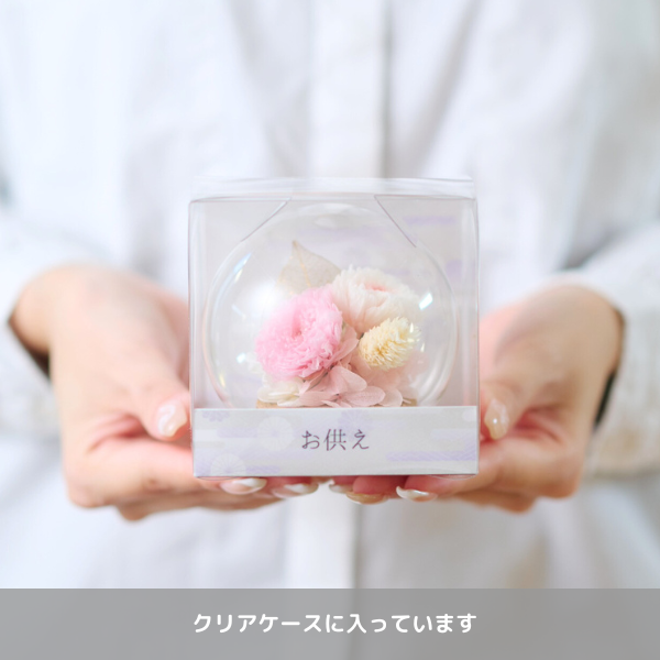 Ĥ(᥻å)ȥץꥶ֥ɥե (ԥ) 3