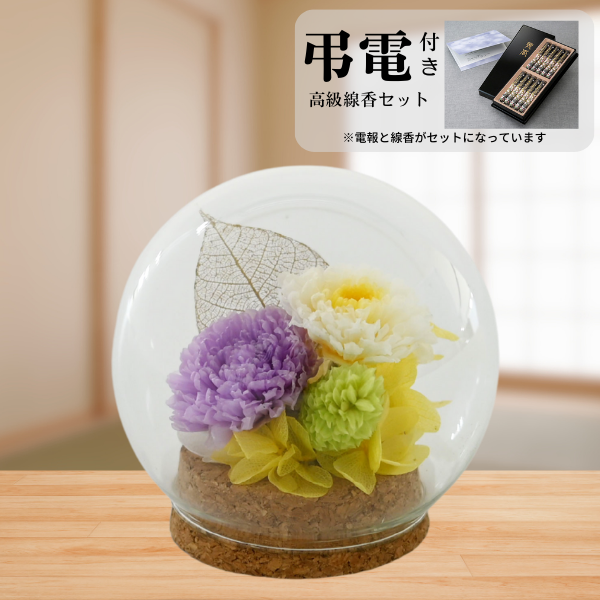 Ĥ(᥻å)ȥץꥶ֥ɥե (ѡץ)