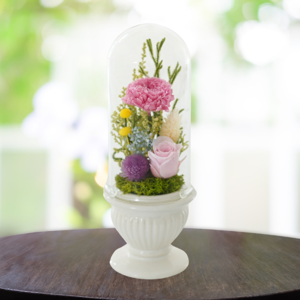 Ĥ(᥻å)ȥץꥶ֥ɥե (ۥ磻) 2