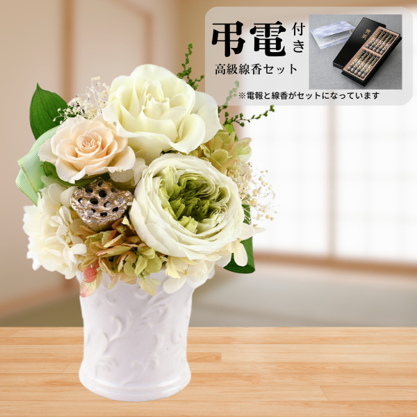 Ĥ(᥻å)ȥץꥶ֥ɥե ò--