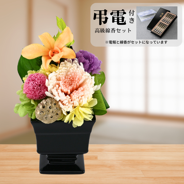 Ĥ(᥻å)ȥץꥶ֥ɥե ̲--