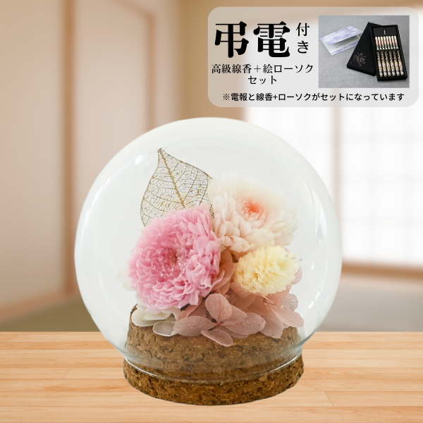 Ĥ(ᡦå)ȥץꥶ֥ɥե (ԥ)