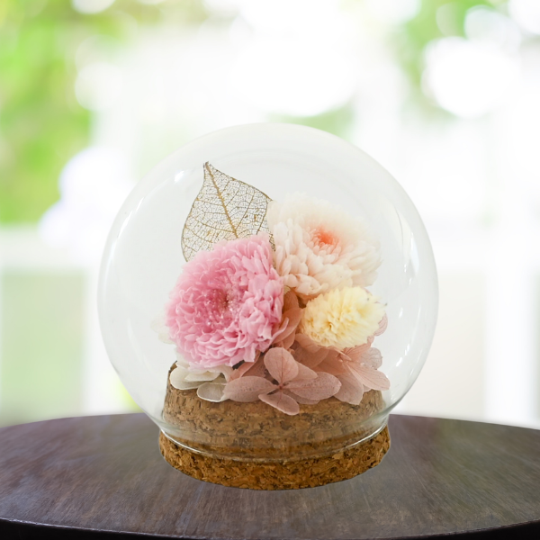 Ĥ(ᡦå)ȥץꥶ֥ɥե (ԥ) 2