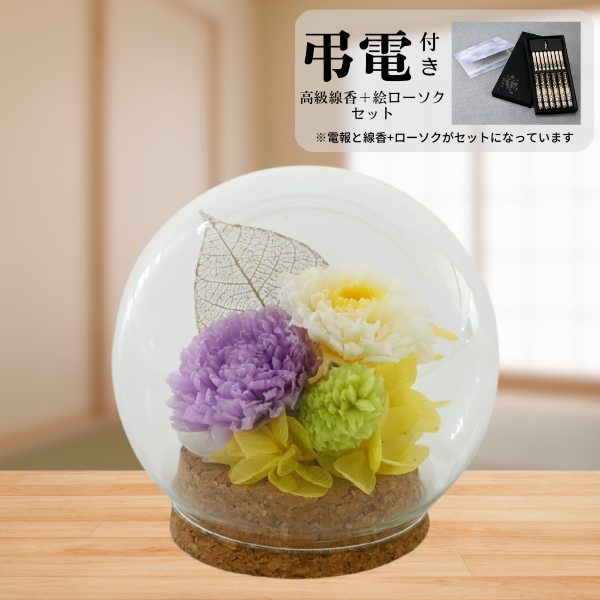 Ĥ(ᡦå)ȥץꥶ֥ɥե (ѡץ)