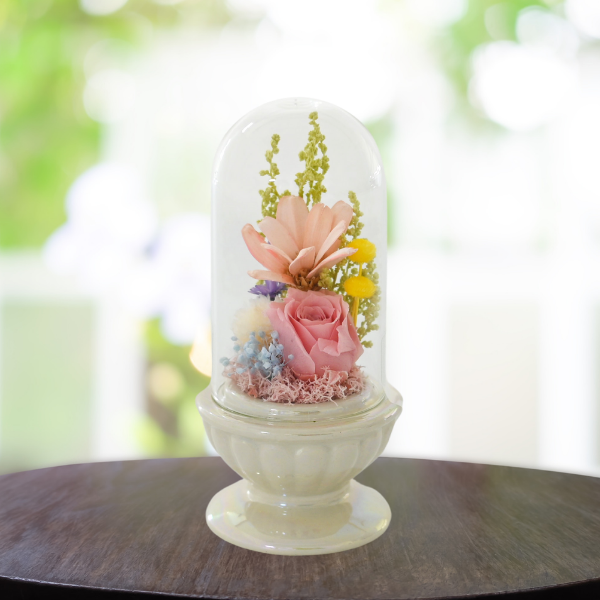 Ĥ(ᡦå)ȥץꥶ֥ɥե ¤(ۥ磻) 2