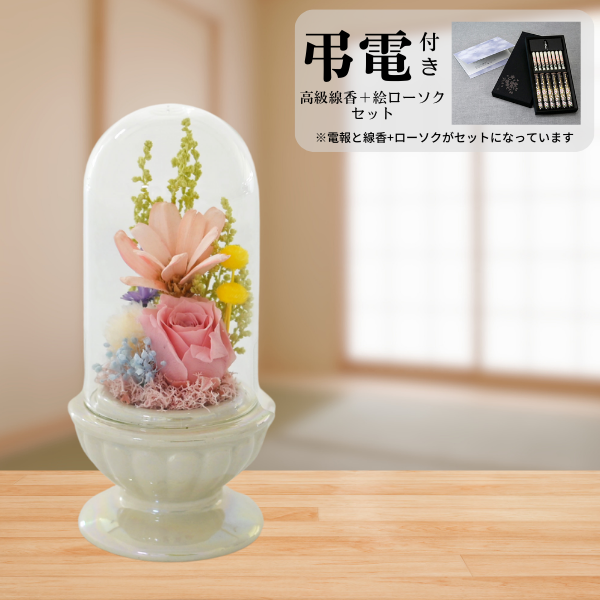 Ĥ(ᡦå)ȥץꥶ֥ɥե ¤(ۥ磻)