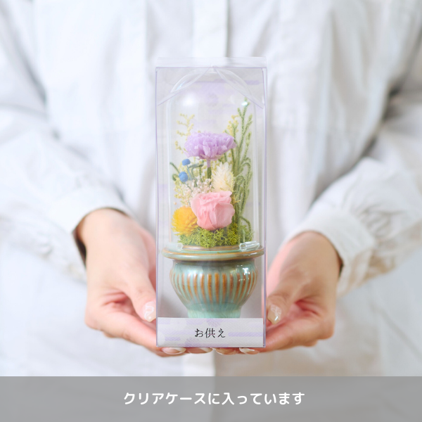 Ĥ(ᡦå)ȥץꥶ֥ɥե (꡼) 3