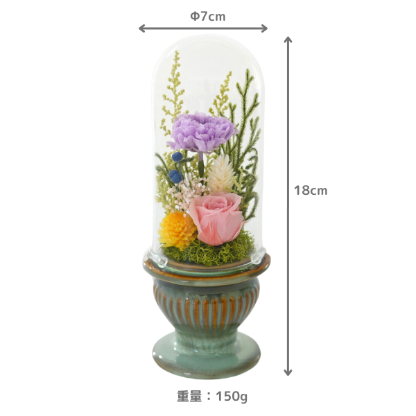 Ĥ(ᡦå)ȥץꥶ֥ɥե (꡼) 4