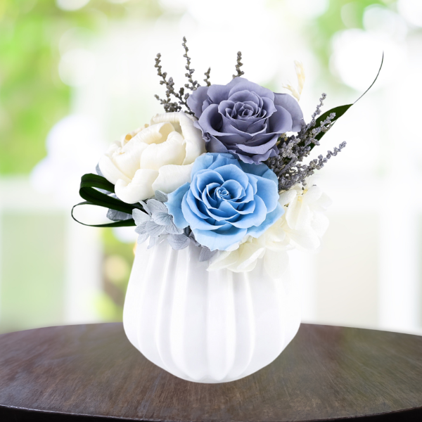 Ĥ(ᡦå)ȥץꥶ֥ɥե  2