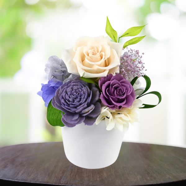 Ĥ(ᡦå)ȥץꥶ֥ɥե ߤ 2