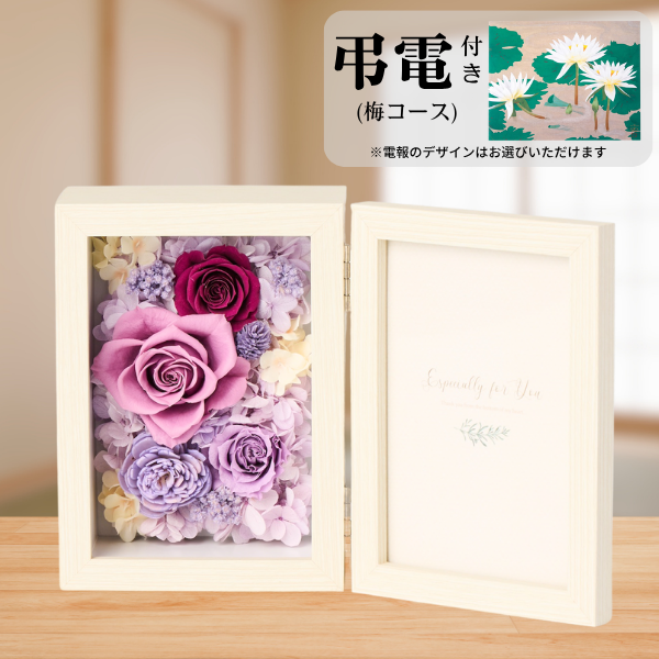 Ĥ(ߥ)ȥץꥶ֥ɥե ֤ȼ̿Ω(쥯󥰥롦)ڲ٤ޤ